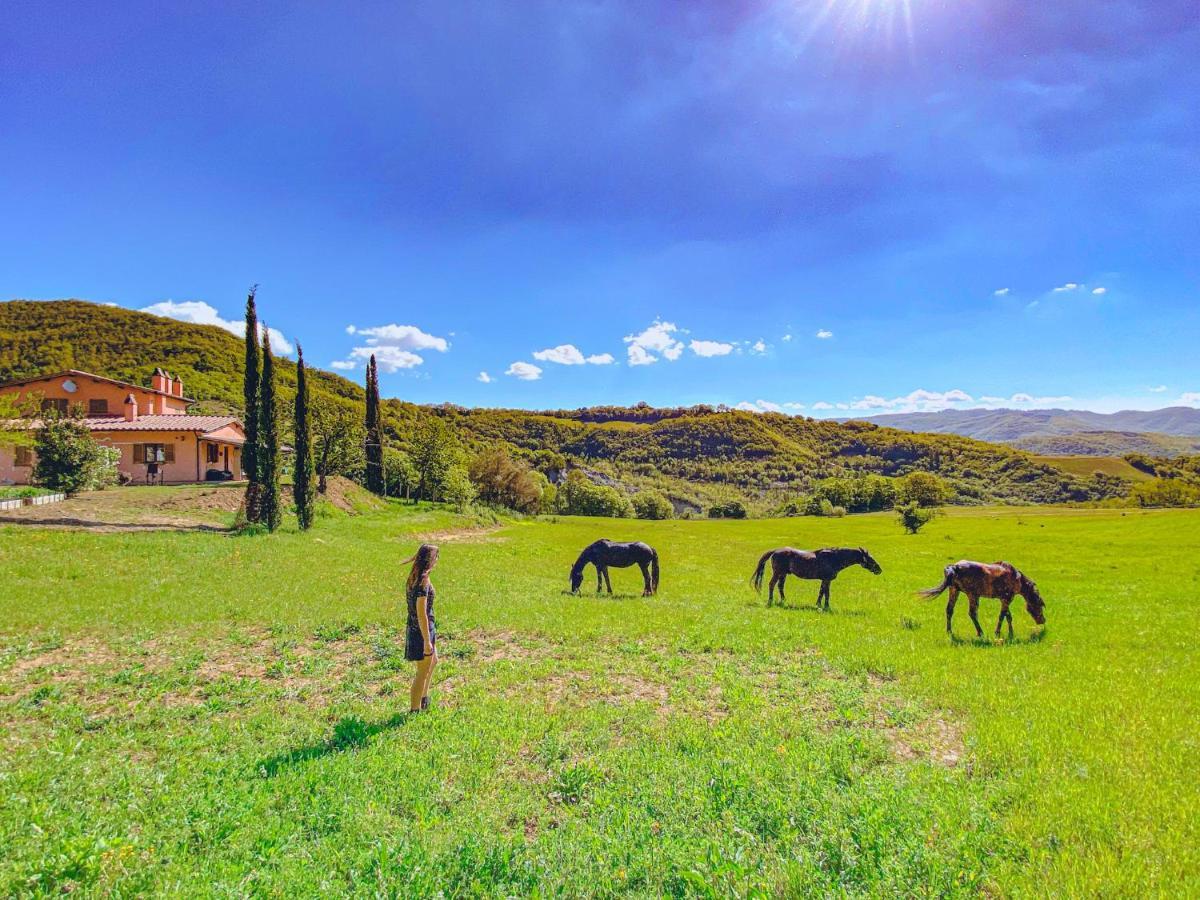 Appartement Ca' Dei Lanari - 10 Min Da Assisi *